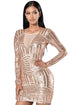Sexy Rose Nude Open Back Long Sleeve Sequin Dress
